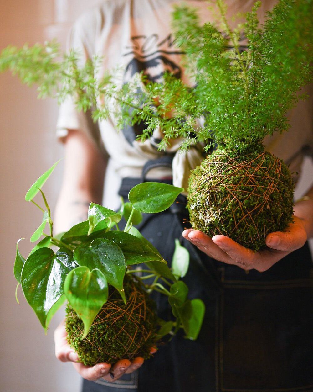 Domenica 12 Lug ore 19.00 - Kokedama