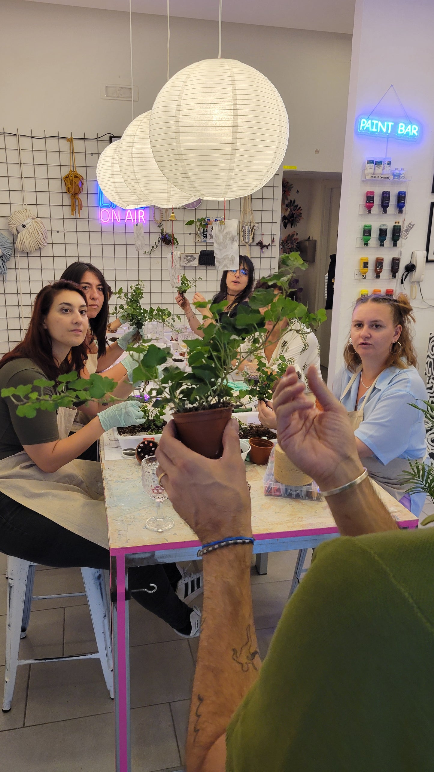 Domenica 2 Ago ore 19.00 - Kokedama