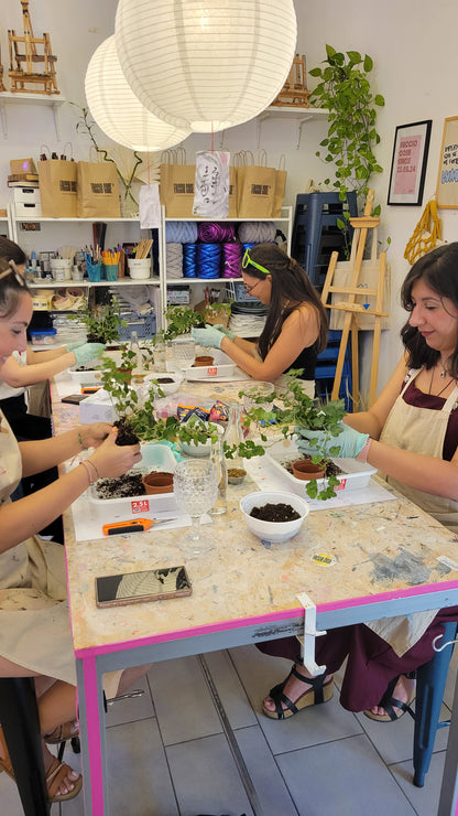 Domenica 2 Ago ore 19.00 - Kokedama